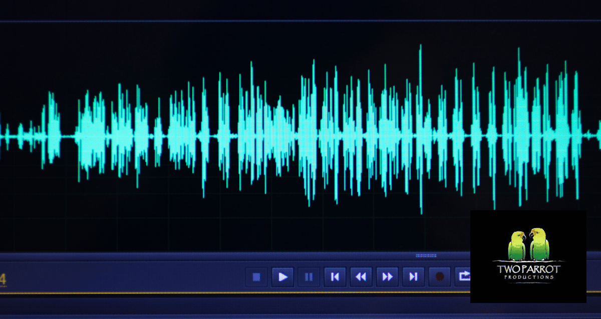 A person using audio editing software