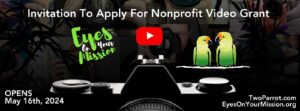 Nonprofit Video Grant Invitation 2024